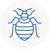 Bed Bug Extermination In Pirbright