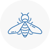 Bee Nest Removal Pirbright