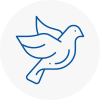 Bird Prevention Pirbright