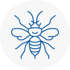 Pirbright Hornet Nest Removals