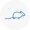 Mice Exterminators In Pirbright