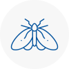 Moth Control Specialists In Pirbright