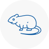 Rat Control Pirbright