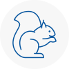 Pirbright Rodent Removals