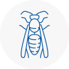 Pirbright Wasp Nest Removal